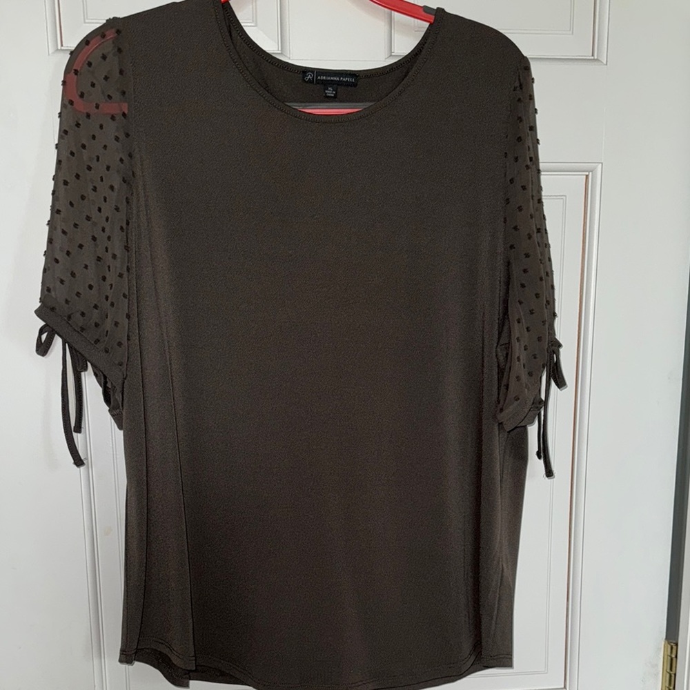 Elegant Brown Top with Sheer Sleeves